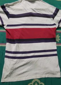 Striped USPA Polo Shirt orignal