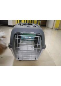 Because My Dog Not Like it