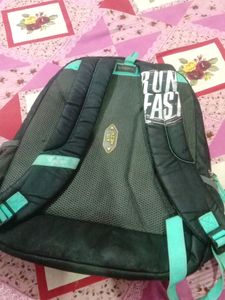 Skybags (School Or Travelling Bag )