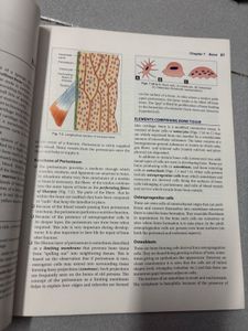 Inderbir Singe’s Textbook Of Human Histology