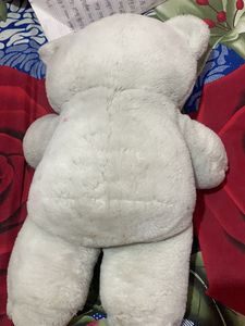 Teddy