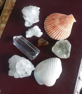 Healing Crystals &amp; Seashells Collection