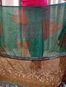Double Shades Awesome Sari With Blouse