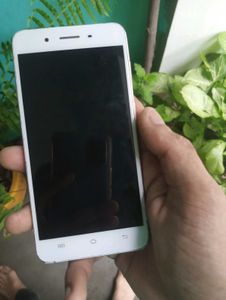 Vivo Y55 phone