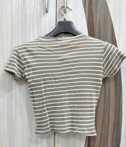The Pistachio Colour Calvin Klein Tshirt