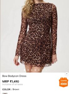 Savana Leopard Print Mini Dress
