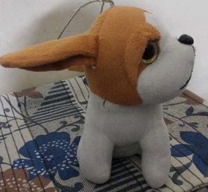 It&#39;s Toy Dog