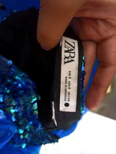 Zara Skirt