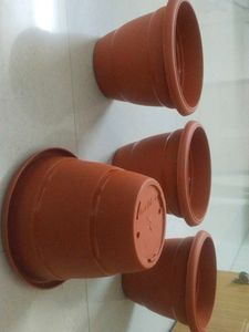 Plant Pots 🍯 Plastic Big Size New Never Used