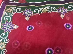 Beautiful  Net Saree