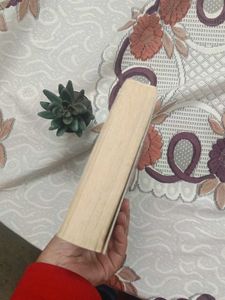 Peter May Lockdown - Thriller