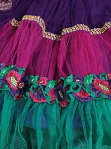 Lehenga Choli Set