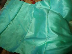 Green Saree with blouse