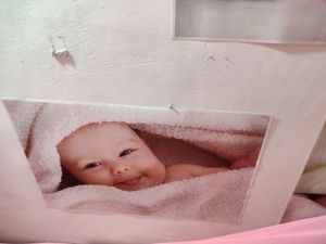 Set Of 7 Baby Posters For Pregnancy