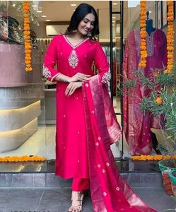 Beautiful Rani Colour Kurti Set