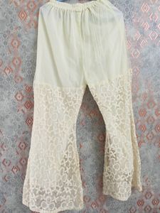 Festive Sharara Suit