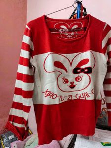 Beautiful Soft Woolen Top/ Winterwear Top