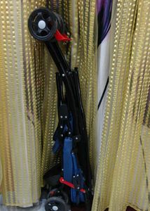 Bumtum Blue Stroller