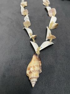 Seashell Jewelry