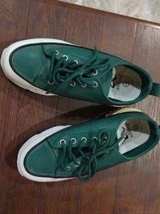 Green Addiox Canvas Shoes Size 40