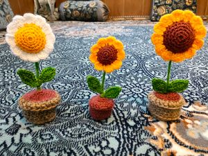 Chrocheted Flower Pot