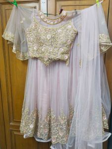 Levender Embroidered Lehenga Skirt Crop blouse wit