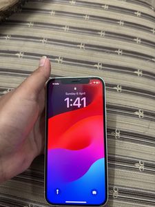 Apple 12