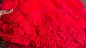 Red Embroidered Net Saree