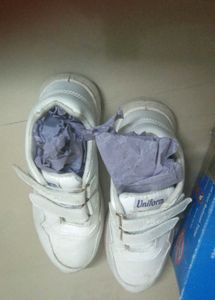 Classic White Canvas Sneakers