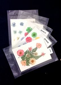 3 Pressed Flowers Sheets