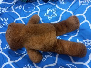 Big Size Teddy Bear