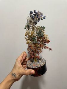 Show Piece