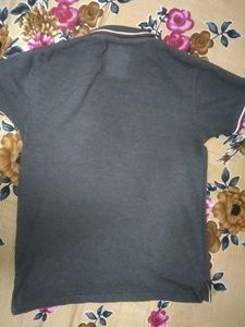 Tshirt + Track Pants (Combo)