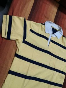 Turtle Brand Men Yellow Striped Casual Polo Tshirt