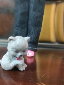 Complete Vet Set With Barbie And Two Pets