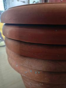Terracotta Plant Pot