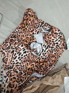 Leopard Print Swimsuit