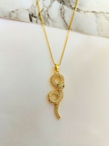 Snake Pendant Necklace new and unused
