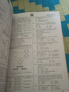 Science Fair Projects: Physics