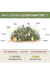 Ruby Rush Glossy Hair Tint