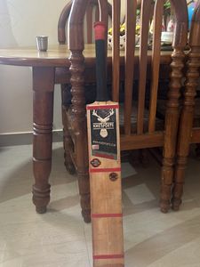 Red Tennis Ball Bat