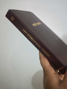 NIV Holy Bible, Gold Borders &amp; Leather Cover