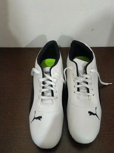 Puma Speecat