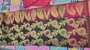 Organza Multicolored Saree