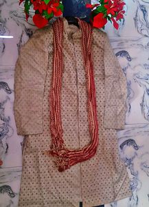 Men Sherwani Festive Wear