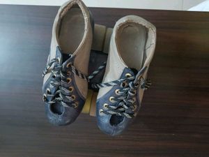 Shoes Skate