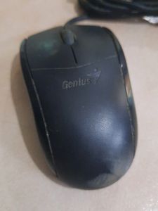 Computer Mouse