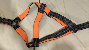 Last Price!!!No Pull Dog Training Leash