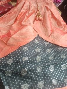 Elegant Ethnic Gown