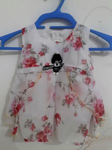 SIZE =2-3years